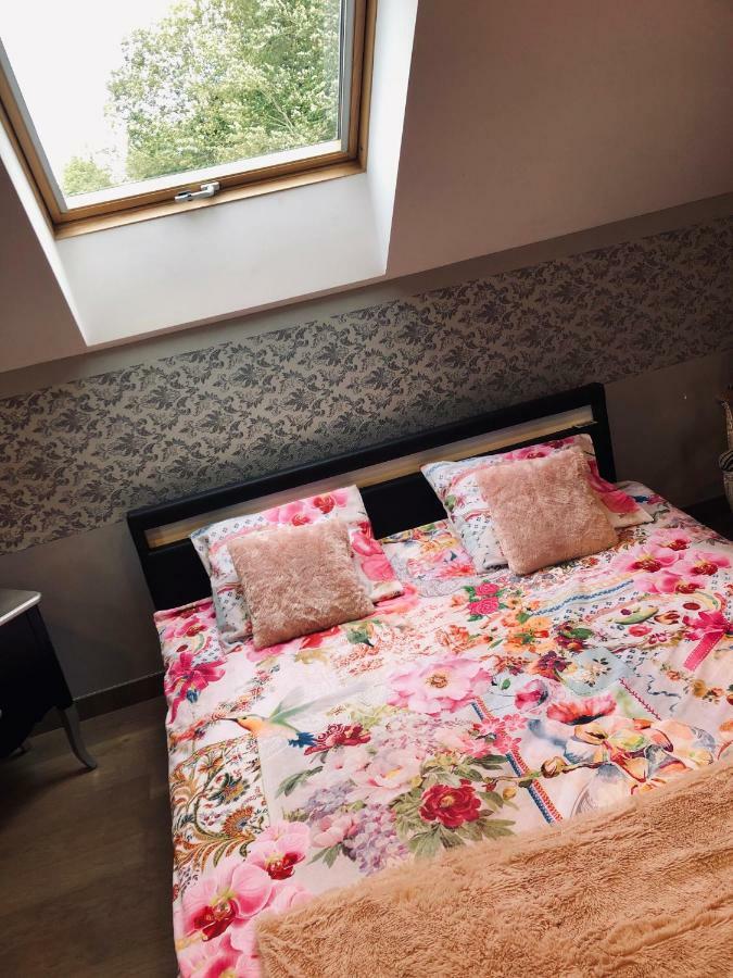 Apartament Loft D Isa Avec Wifi Netflix Gesves Zewnętrze zdjęcie